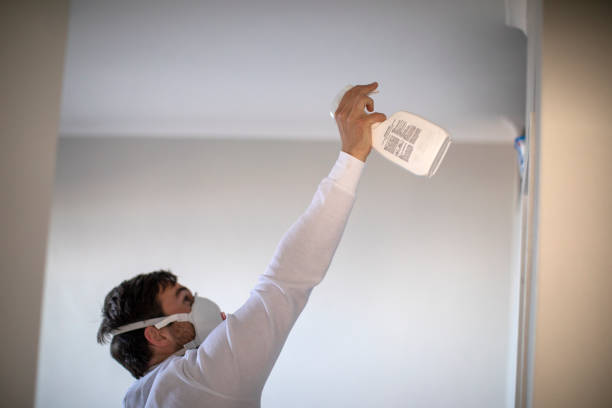 Best Crawl Space Mold Removal  in Plum Grove, TX