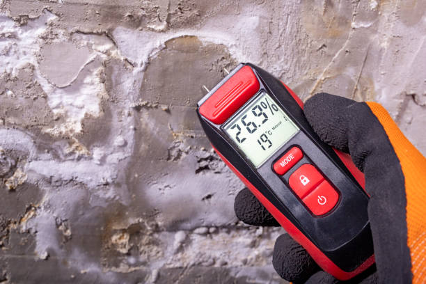 Best Mold Testing  in Plum Grove, TX