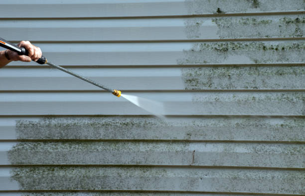 Certified Mold Removal in Plum Grove, TX