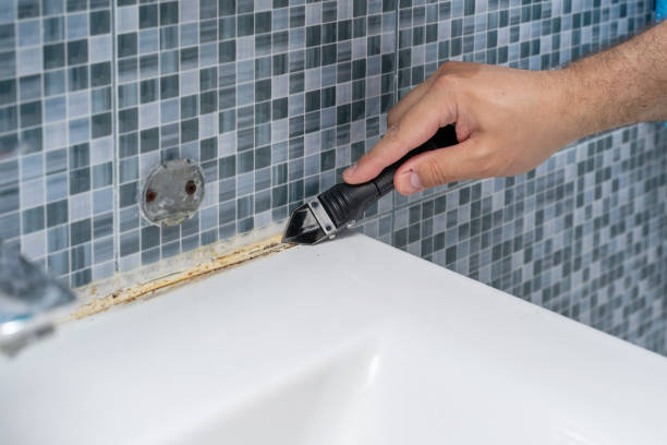 Best Mold Testing  in Plum Grove, TX